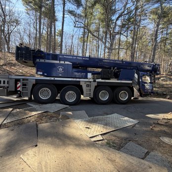 American Climbers - Crane truck and protection - Tree Services Near Me - Southborough, Massachusetts