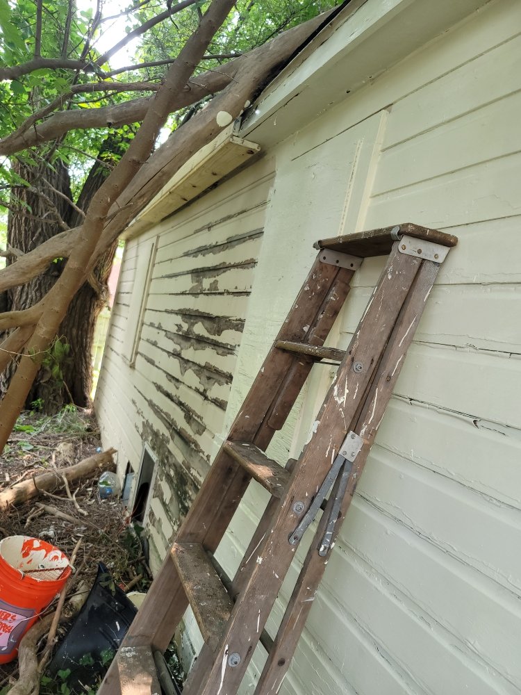 Slide of Detroit Rescue My Home