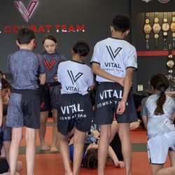 Vital Combat Team