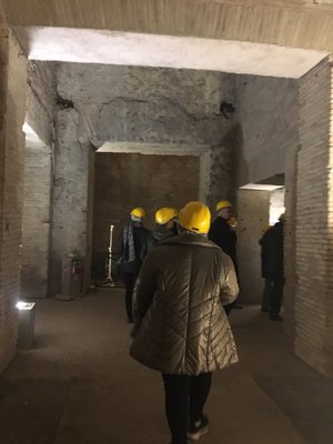 Domus Aurea by null