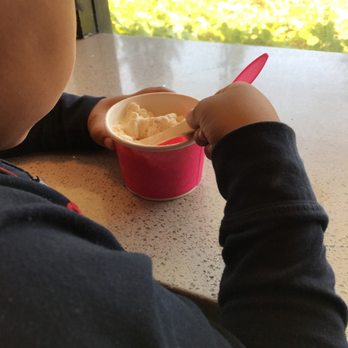 Nirvanaah - My Kid Loving His Ice cream Bowl - $5.99 with 2 varieties - Ice Cream & Frozen Yogurt Near Me - Sunnyvale, California