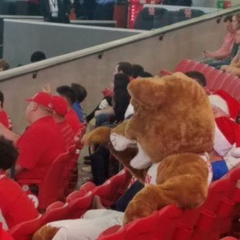 Fertitta Center - Shasta hanging out with fans - Stadiums & Arenas Near Me - Houston, Texas