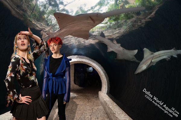 The Dallas World Aquarium by null