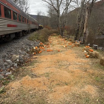 Delaware & Ulster Railroad - Pumpkin patch - Train Stations Near Me - Arkville, New York Delaware & Ulster Railroad - Pumpkin patch - Train Stations Near Me - Arkville, New York