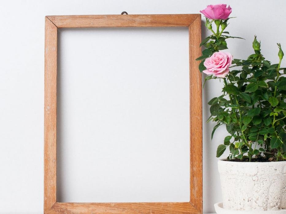 CENTRAL PARK FRAMING & FINDS Updated August 2024 22 Photos 110 W