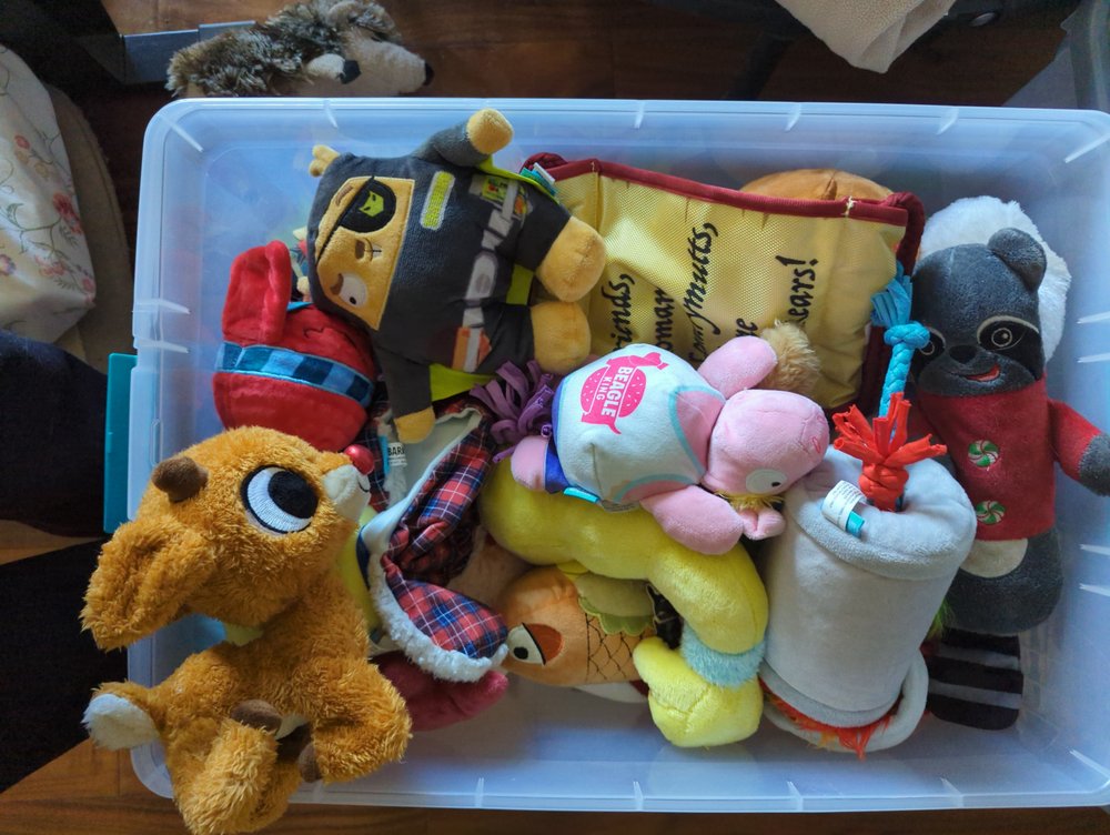 BREEZY ACRES BOARDING KENNEL Updated September 2024 1999 County Hwy