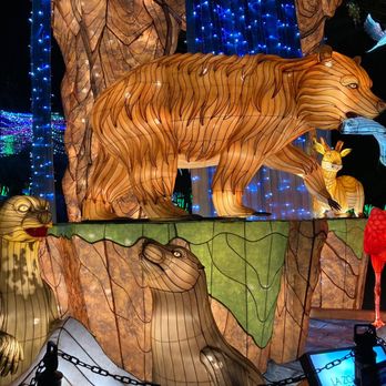 LA Zoo Lights - Zoos Near Me - Los Angeles, California LA Zoo Lights - Zoos Near Me - Los Angeles, California