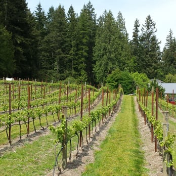 Spoiled Dog Winery - Vineyards - Wineries Near Me - Langley, Washington Spoiled Dog Winery - Vineyards - Wineries Near Me - Langley, Washington