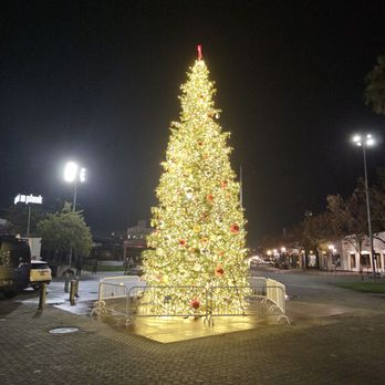 Jack London Square - A real lit-up Christmas tree! - Shopping Centers Near Me - Oakland, California Jack London Square - A real lit-up Christmas tree! - Shopping Centers Near Me - Oakland, California