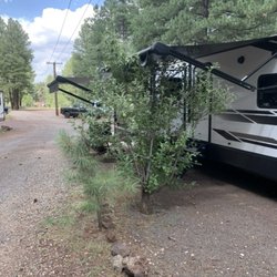 Woody Mountain Campground