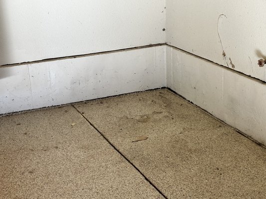 THRASHER FOUNDATION REPAIR - Updated January 2025 - 46 Photos - 9652