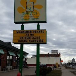 Thrifty Florist - Sign when leaving. shamrock plants + they are also selling a dozen of GREEN carnations for 9.99