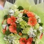 Photo of La Blossoms