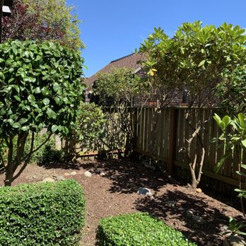 Hire A Gardener Near Me Downey, CA