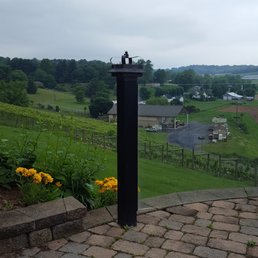 Beautiful view of vineyard against mountains.