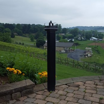 Bluestone Vineyard - Beautiful view of vineyard against mountains. - Wineries Near Me - Bridgewater, Virginia Bluestone Vineyard - Beautiful view of vineyard against mountains. - Wineries Near Me - Bridgewater, Virginia