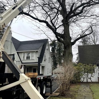 Bernie Tree Service - Tree Services Near Me Bernie Tree Service - Tree Services Near Me