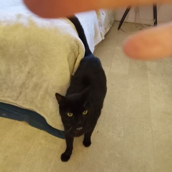 Cory's Professional Petsitting Services - Pet Sitting Near Me Cory's Professional Petsitting Services - Pet Sitting Near Me