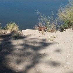Myron Lake