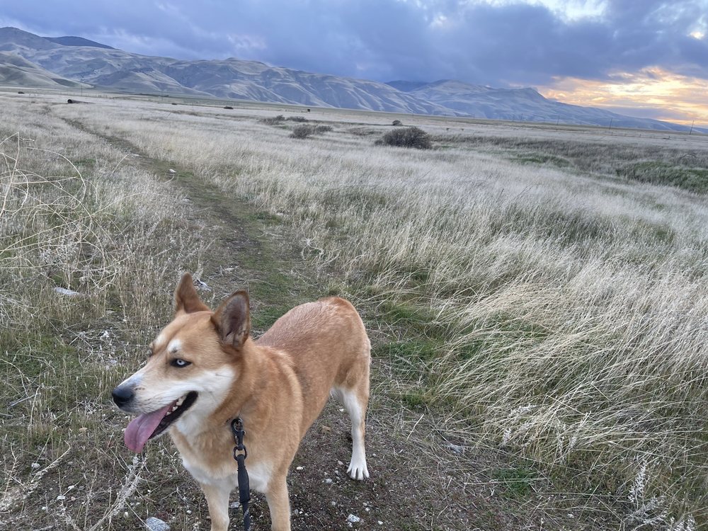 DAYS INN BY WYNDHAM LEBEC 33 Photos & 82 Reviews 9000 Countryside