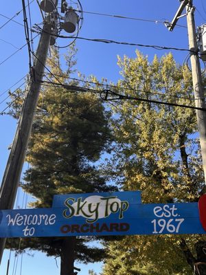 Sky Top Orchard by null