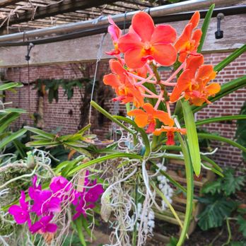 Key West Garden Club - Venues & Event Spaces Near Me - Key West, Florida Key West Garden Club - Venues & Event Spaces Near Me - Key West, Florida