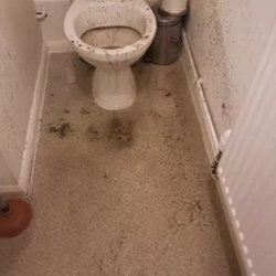 Rajpoot - My toilet...