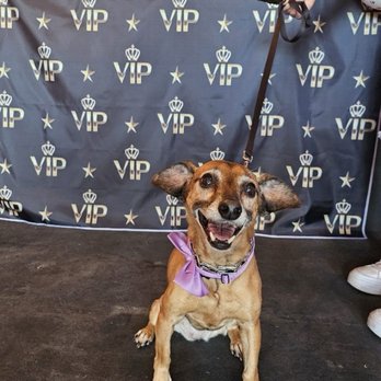 Vapor Devils Vape & CBD - Vape Shops Near Me - West Covina, California Vapor Devils Vape & CBD - Vape Shops Near Me - West Covina, California