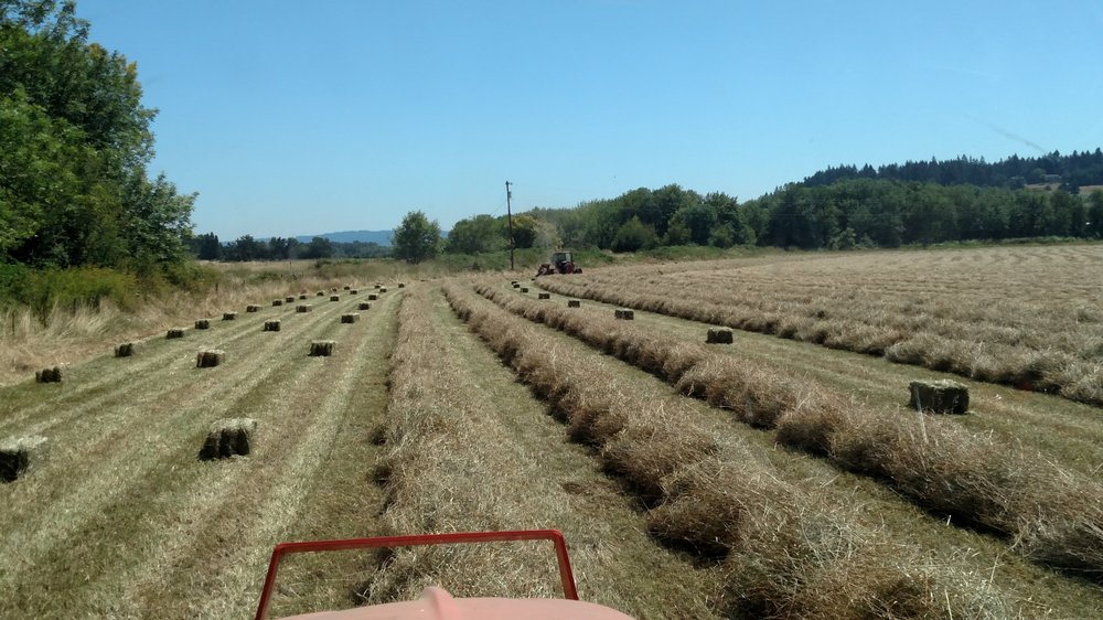 ABM RANCH Updated August 2024 16375 Oregon 240, Newberg, Oregon Livestock Feed & Supply