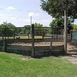 Anvil Acres Stables