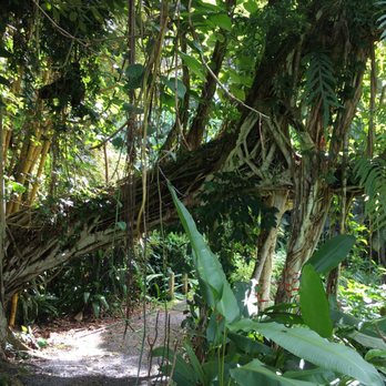 Haiku Gardens Weddings - Venues & Event Spaces Near Me - Kaneohe, Hawaii