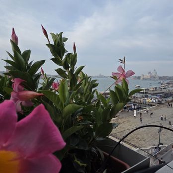 Locanda Vivaldi - Breakfast view - Hotels Near Me - Venezia, VE Locanda Vivaldi - Breakfast view - Hotels Near Me - Venezia, VE