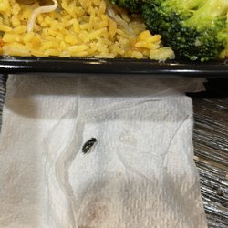 Fly found in my rice underneath the first layer.