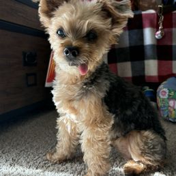 Bonita age 15 Bonita age 15