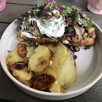 Sugar and Scribe - Mushroom Brunch Toast - Bakeries Near Me - La Jolla, California Sugar and Scribe - Mushroom Brunch Toast - Bakeries Near Me - La Jolla, California