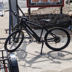 Ramona Performance E-bike