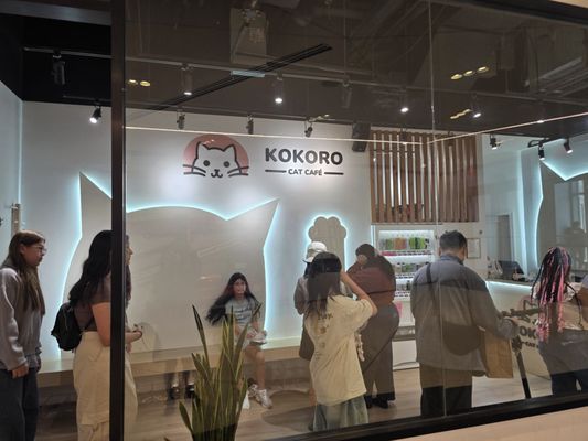 Kokoro Cat Café by null