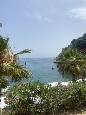 Amante Ibiza by null