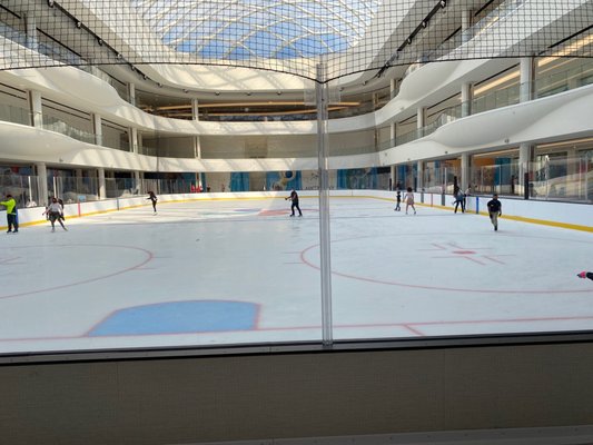 THE RINK - AMERICAN DREAM - Updated September 2024 - 38 Photos & 28 ...