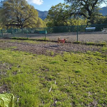 Clayton Dog Park - Dog Parks Near Me - Clayton, California Clayton Dog Park - Dog Parks Near Me - Clayton, California