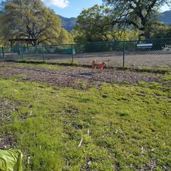 Clayton Dog Park
