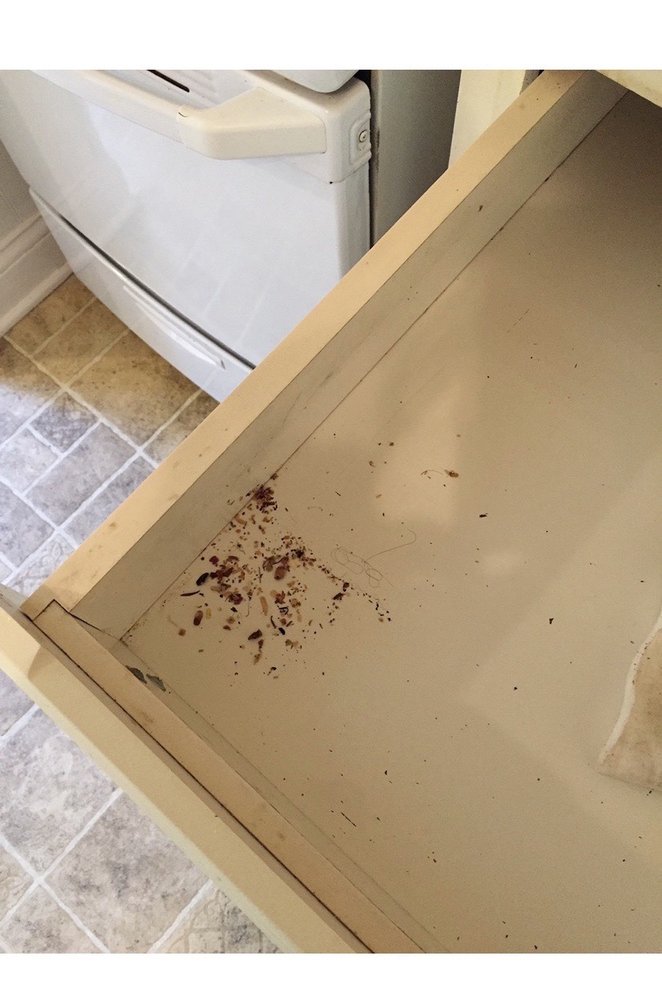 SHARON LANDRUM REALTY Updated August 2024 721 South 8th St