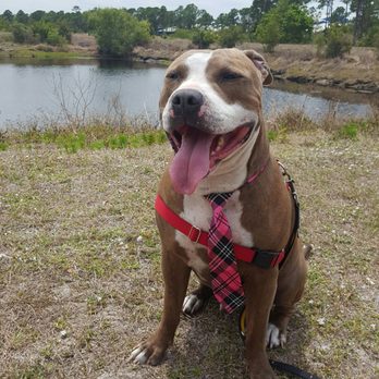 Haney Creek Trail - North Trail - Hiking Near Me - Stuart, Florida