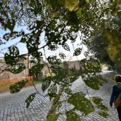 Appia Antica