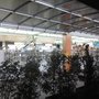 Photo of Centro de Compras ViaBrasil