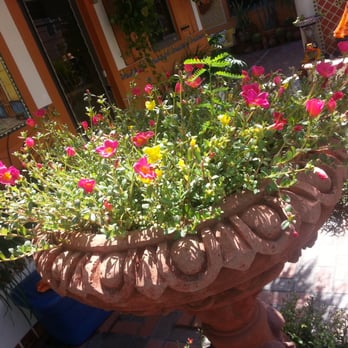 Blue Seas Courtyard - Colorful flowers on the grounds - Hotels Near Me - Laud by Sea, Florida