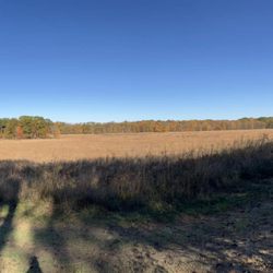 McCloud Nature Park - Field view.