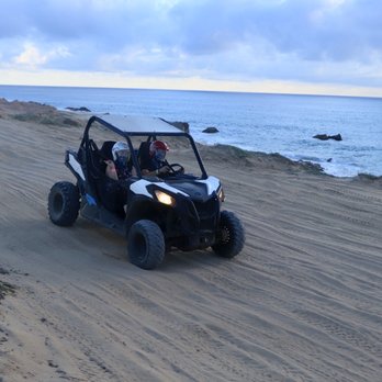 Cactus Tours - Tours Near Me - Cabo San Lucas, BCS