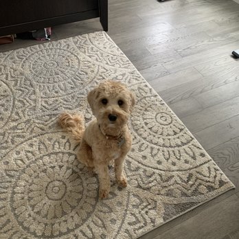 Stonebriar Grooming - Pet Groomers Near Me - Frisco, Texas Stonebriar Grooming - Pet Groomers Near Me - Frisco, Texas