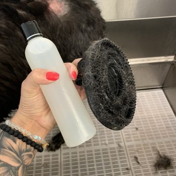 U-Wash Doggie - They give you a whole bottle of shampoo to use & the brush was amazing to get rid of his shedding hair. (Excuse his patch... allergies) - Pet Groomers Near Me - Saugus, California U-Wash Doggie - They give you a whole bottle of shampoo to use & the brush was amazing to get rid of his shedding hair. (Excuse his patch... allergies) - Pet Groomers Near Me - Saugus, California